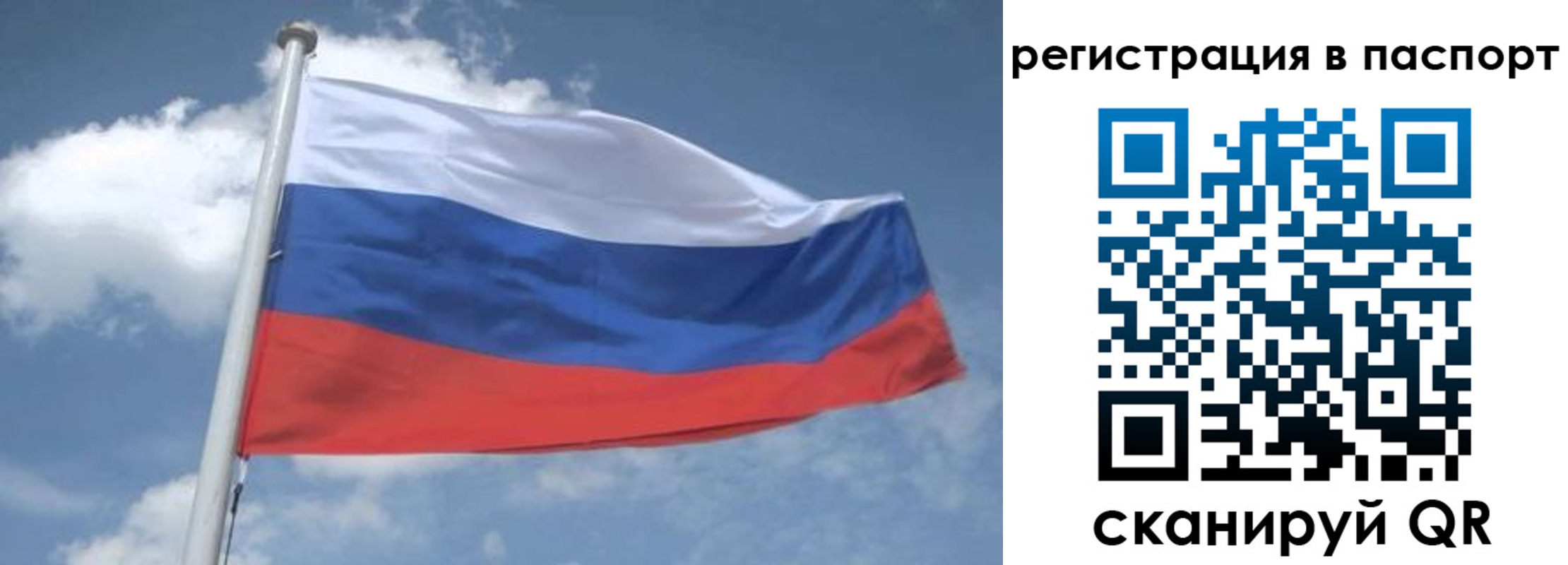 временная регистрация надежно в Кашине